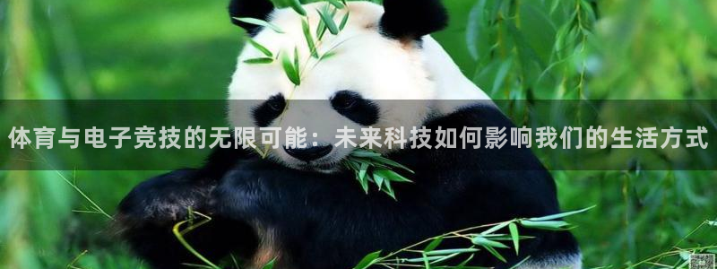 181熊猫体育