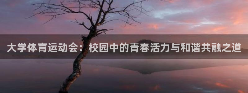 熊猫体育sports