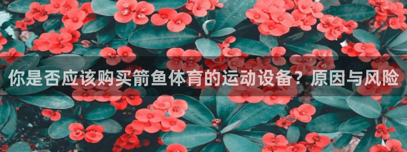熊猫体育app官方入口