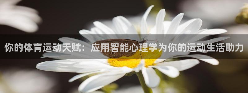 熊猫体育在线观看
