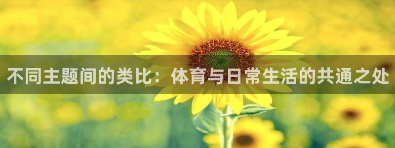 熊猫体育直播nba