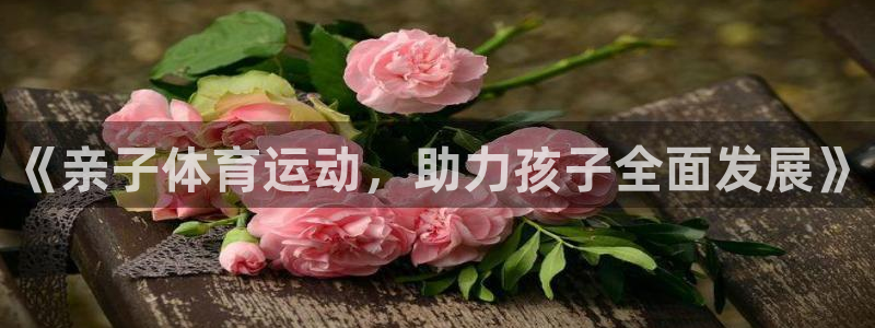 熊猫体育：《亲子体育运动，助力孩子全面发展》