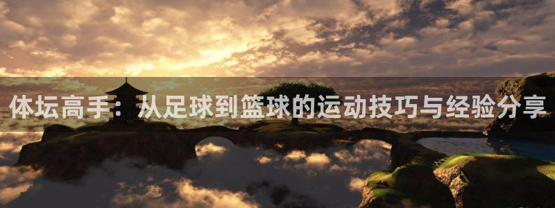 熊猫体育公园价格：体坛高手：从足球到篮球的运动技巧与经验分享