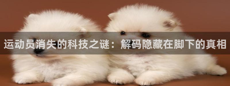熊猫体育怎么样