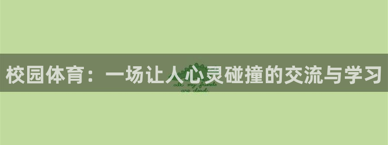 熊猫体育直播