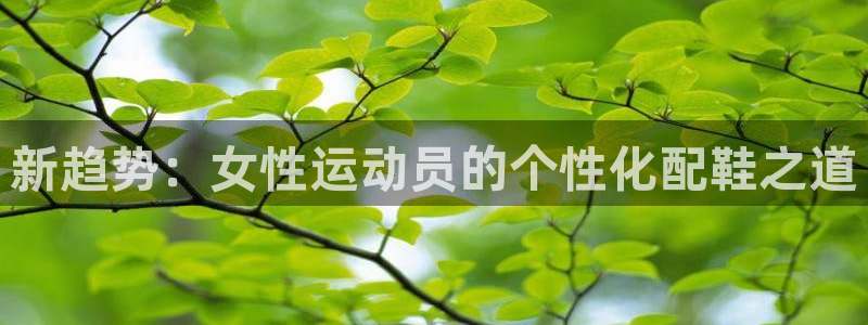 熊猫体育在线