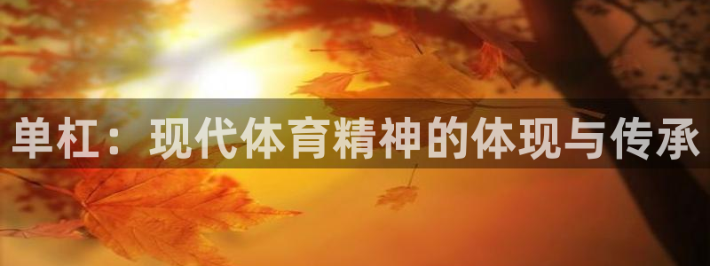 熊猫体育nba：单杠：现代体育精神的体现与传承