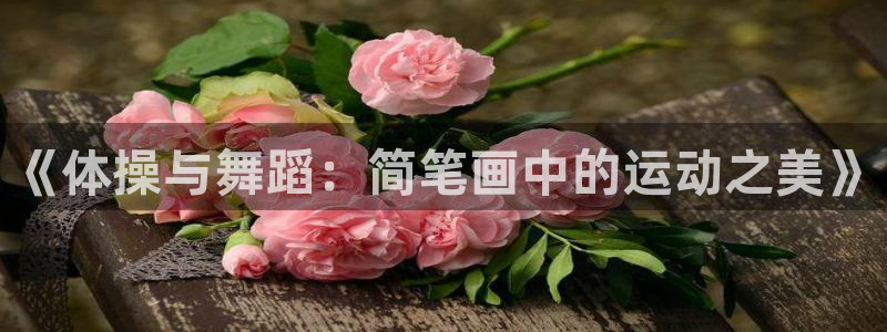 熊猫体育在线