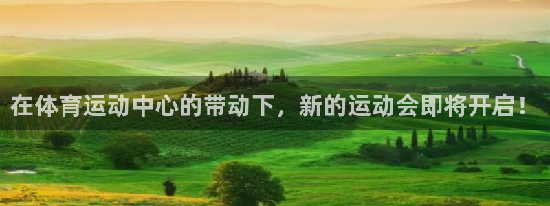 熊猫体育在线观看